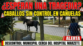 Caballos sueltos en el barrio Las Rosas de Cañuelas frente al Hospital Marzetti y el Hogar San José.