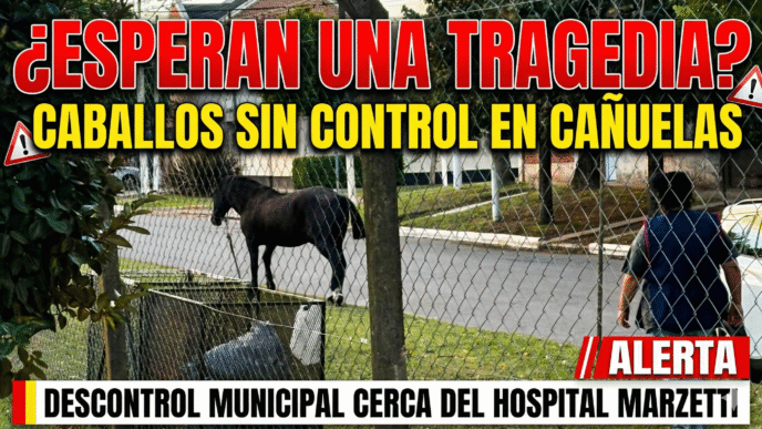 Caballos sueltos en el barrio Las Rosas de Cañuelas frente al Hospital Marzetti y el Hogar San José.