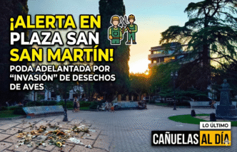 Operarios de poda trabajando en la Plaza San Martín de Cañuelas por alerta de contaminación.