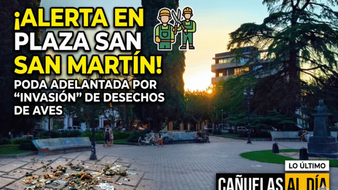 Operarios de poda trabajando en la Plaza San Martín de Cañuelas por alerta de contaminación.